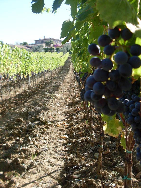 Agriturismo Amina, Winery & Hiking Вальяли Экстерьер фото